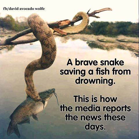 media reporting